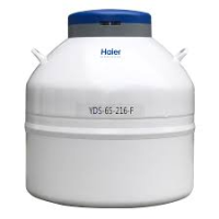 BE0FEJM0N YDS-65-216-FZ Velkokapacitní kontejner pro skladování vzorků, 65 litrů